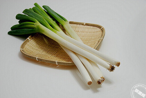 在台也能感受「秋田」之美 秋田舞妓、生剝NAMAHAGE太鼓、秋田犬邀您齊聚華山! - 旅遊經