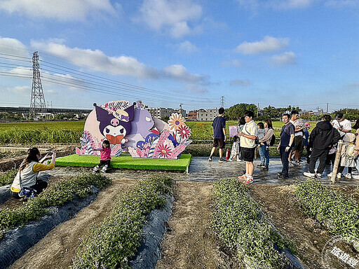 桃園仙草嘉年華「紫邀你」 9大「酷洛米」主題裝置穿梭浪漫紫色花海 - 旅遊經