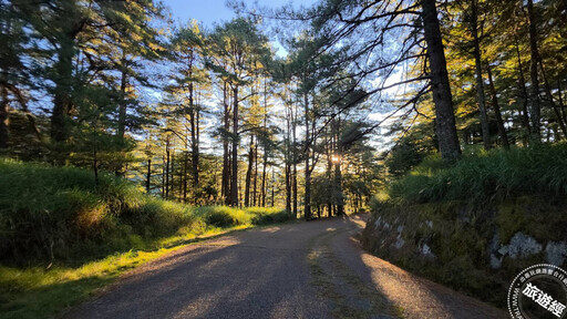 大雪山森遊區躍升國際賞鳥勝地,目前楓紅3成 「森chill竹杖健走」慶40! - 旅遊經