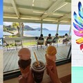 牽手十五年慢遊福岡，一座城的溫柔迴響