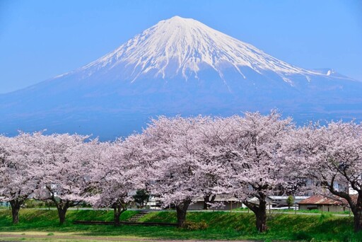 【日本館】,史上規模最大,粉墨登場.ᐟ