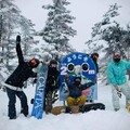 日本自由行｜迎接雪季降臨！到長野縣滑雪前不可不知的旅遊攻略