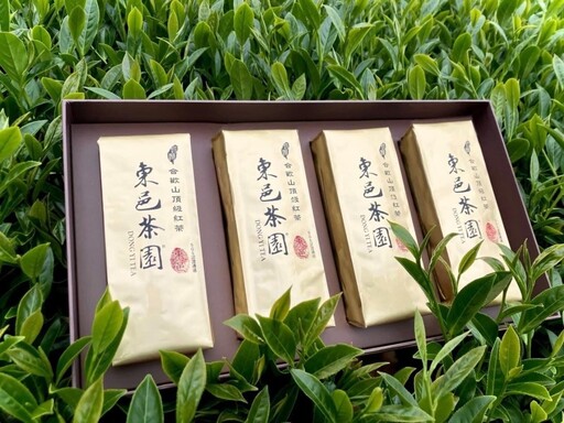南投茶葉專家│經典合歡高冷茶順口回甘自然農法施作更安心