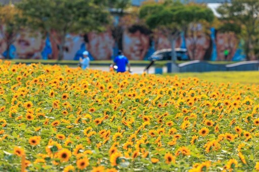 「台北市河濱花之饗宴」11月浪漫登場！自然系千坪水岸花海