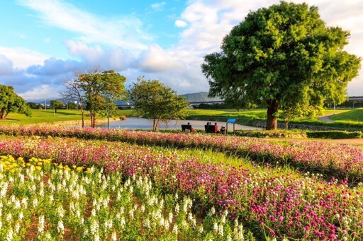 「台北市河濱花之饗宴」11月浪漫登場！自然系千坪水岸花海