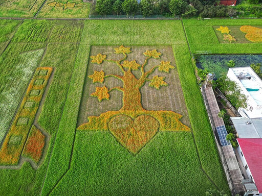 2024大溪水岸花卉11/16綻放！結合農村風情花田圖騰驚艷登場