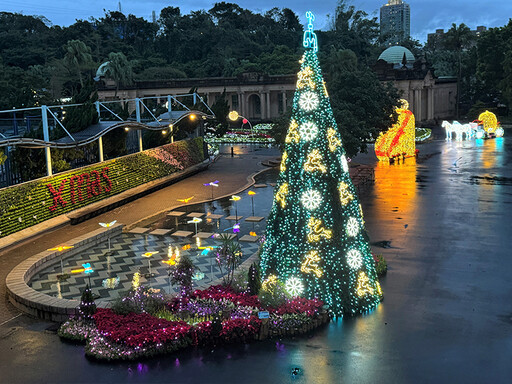 「公館聖誕季」11/30繽紛登場！10米高「泉源聖誕樹」超好拍