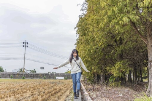 彰化必訪落羽松林變色中！如詩如畫般場景美得讓人窒息！