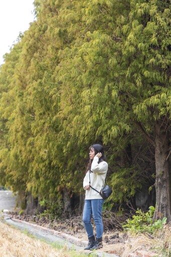 彰化必訪落羽松林變色中！如詩如畫般場景美得讓人窒息！