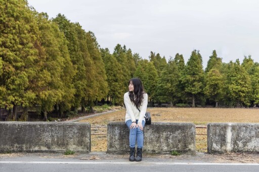 彰化必訪落羽松林變色中！如詩如畫般場景美得讓人窒息！