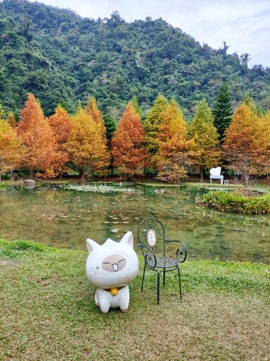 夢幻季節限定！南庄雲水落羽松x純白鋼琴 帶你拍出雜誌美照！