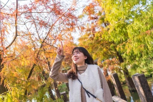 愛心湖、落羽松絕美邂逅！雲林虎尾日式庭園秘境等你來訪！