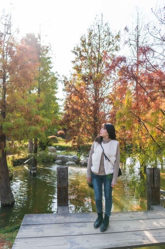 愛心湖、落羽松絕美邂逅！雲林虎尾日式庭園秘境等你來訪！