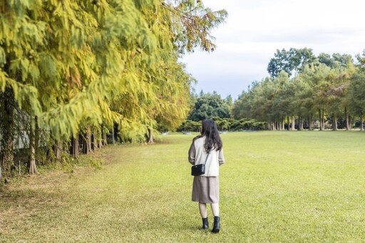 石岡也有落羽松！秋冬限定景色教你拍 一秒出唯美打卡照！