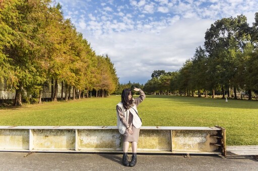 石岡也有落羽松！秋冬限定景色教你拍 一秒出唯美打卡照！