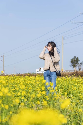 「黃金花海×列車奇蹟」！苗栗五南里限定 爆紅美景超夢幻！