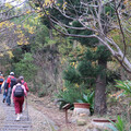 活力迎新年！龍井元旦登山健走即將登場 驚喜獎品拿不完！