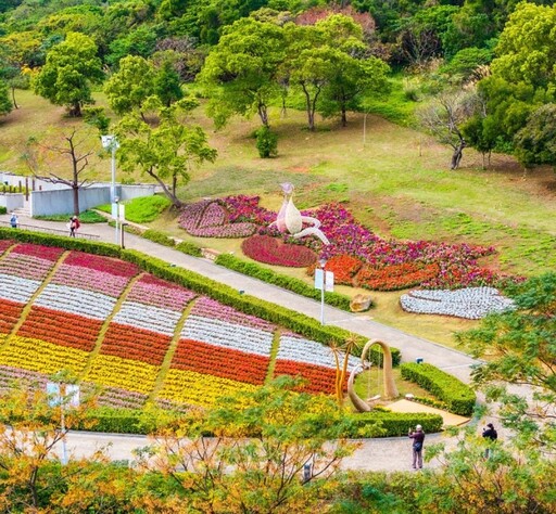 繽紛彩色浪花來襲！「2025三層崎花海」體驗春日浪漫之旅！