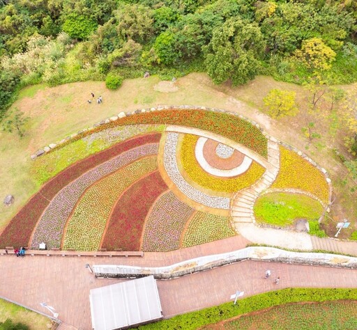 繽紛彩色浪花來襲！「2025三層崎花海」體驗春日浪漫之旅！