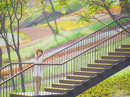 繽紛彩色浪花來襲！「2025三層崎花海」體驗春日浪漫之旅！