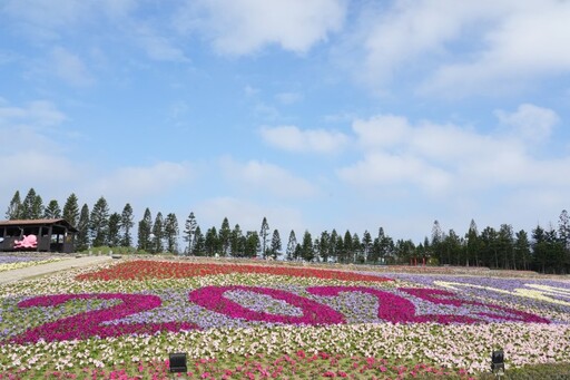 2025蛇來運轉過好年│澎湖走春賞花趣！1.8公頃繽紛花海必拍