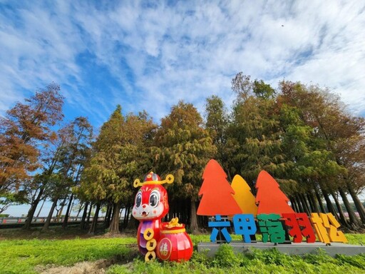 台南六甲冬日奇蹟！巷仔Niau陪你賞落羽松與花海美景！