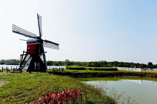 台南六甲冬日奇蹟！巷仔Niau陪你賞落羽松與花海美景！