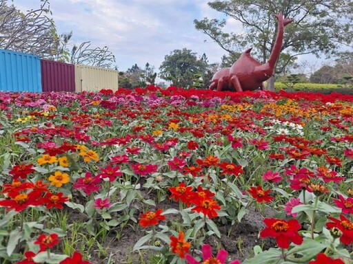 新年走春趣！「2025花在彰化」特色花海、嘉年華賞花漫遊！