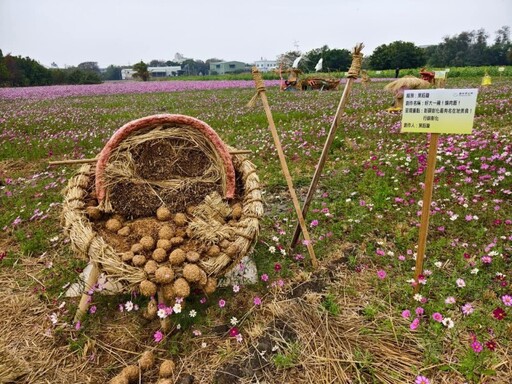 田野美學新亮點！彰化花漾Chill帶你賞浪漫花海 同遊美景！