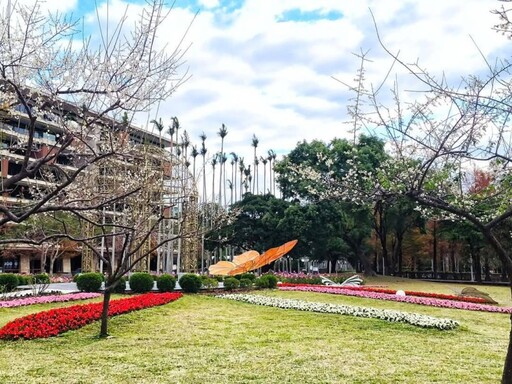 台北士林官邸梅花雪白盛放！白梅花香撲鼻 冬日限定打卡熱點