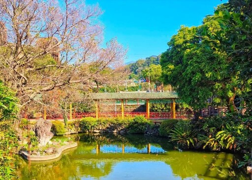 台北隱世梅花秘境！市區絕美雪白花海 無須遠行就能拍！