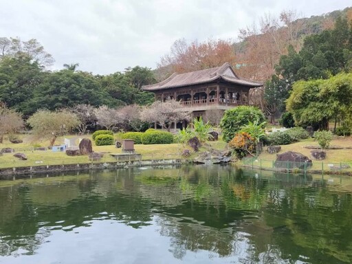 北台灣賞梅季倒數！冬日美景全攻略 帶大家從平地拍到高山！