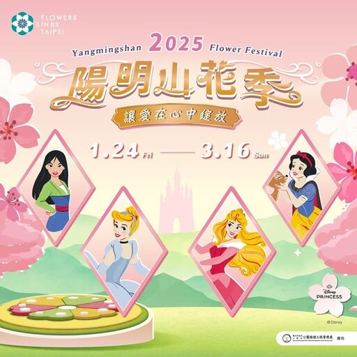 2025陽明山花季開跑！浪漫櫻花ｘ迪士尼公主聯名 少女心滿點