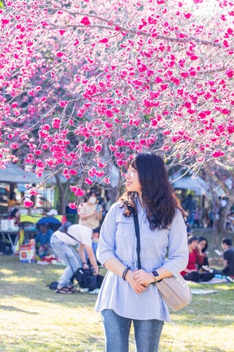 2025暨大櫻花季開跑！3000棵櫻花齊放 浪漫奇蹟不用飛日本！