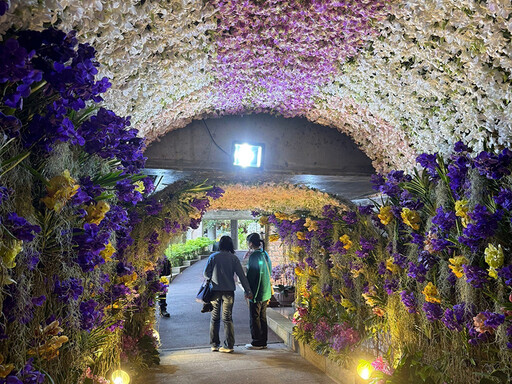 蘭花迷朝聖必看！2025臺灣國際蘭展帶你探索蘭花美學新境界