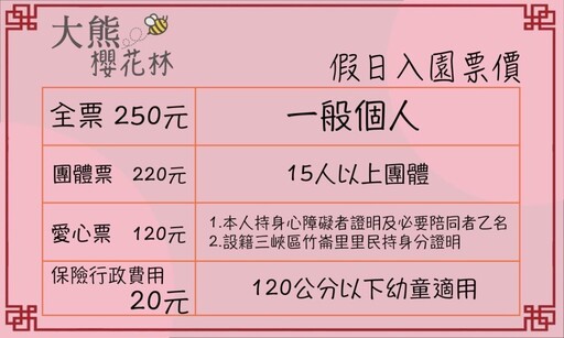 新北三峽賞櫻必訪！絕美浪漫仙境降臨 4000棵櫻花樹綻放中！