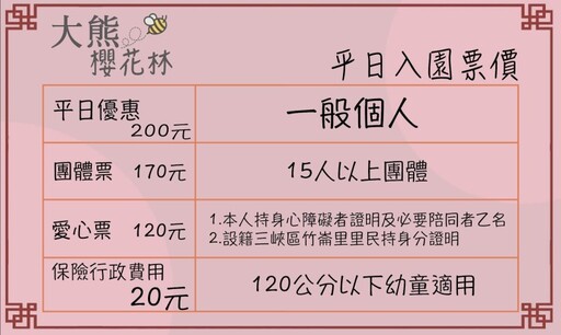 新北三峽賞櫻必訪！絕美浪漫仙境降臨 4000棵櫻花樹綻放中！