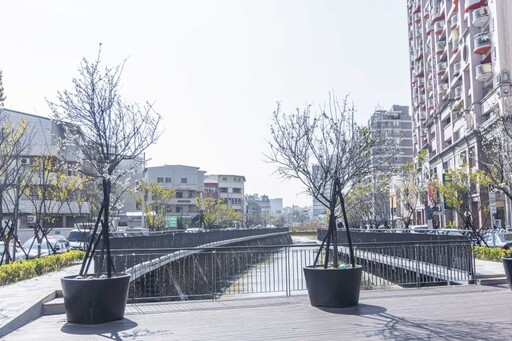 免爬山！台中市區也有雪白梅花賞 梅川步道梅花綻放中！