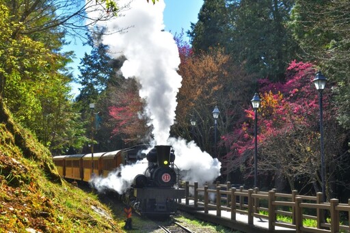 春季必訪！阿里山百年蒸機賞櫻列車2/25開放搶票囉！