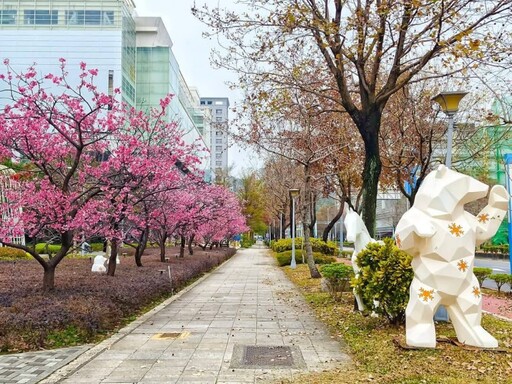 櫻花ｘ摩天輪│台北大直中427公園粉色綻放 捷運就能到！