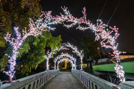 南投隱藏版燈飾景點！中山公園璀璨光影點亮新年新希望！