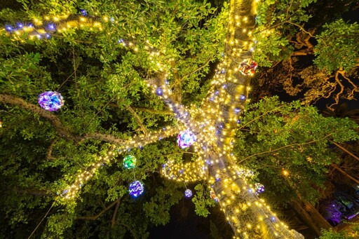 南投隱藏版燈飾景點！中山公園璀璨光影點亮新年新希望！