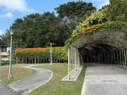 台北賞花│花博圓山園炮仗花瀑綻放！春季限定橘紅瀑布必拍