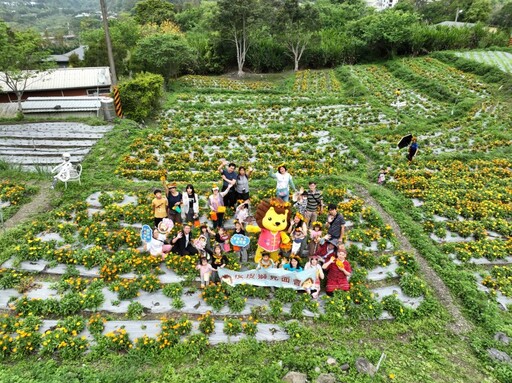 春天浪漫旅行提案！"2025山裏花見那羅灣金盞花季"限時登場！