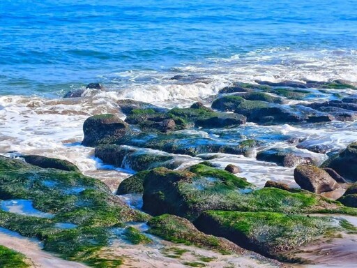 北部「抹茶海岸」回歸！老梅綠石槽夢幻登場 錯過就等明年