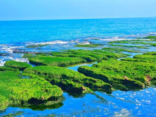 北部「抹茶海岸」回歸！老梅綠石槽夢幻登場 錯過就等明年