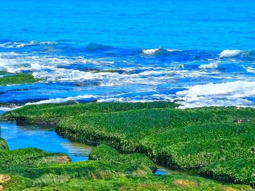 北部「抹茶海岸」回歸！老梅綠石槽夢幻登場 錯過就等明年