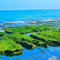 北部「抹茶海岸」回歸！老梅綠石槽夢幻登場 錯過就等明年