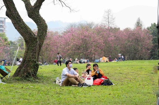 2025三峽綠茶季│感受在地茶文化!一起到草地野餐、逛市集