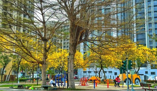 不讓廍子公園專美於前！台中東區隱藏版花海秘境 美景正當時